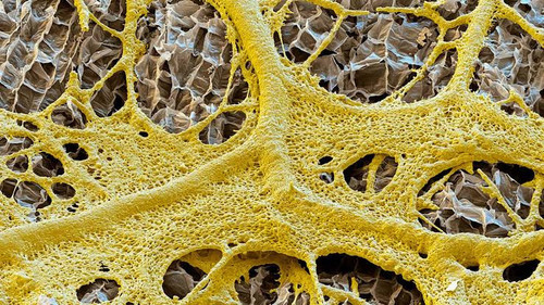 images (4) (235).jpg