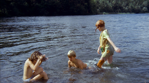 Pippi.on.the.Run.1970.1080p.BluRay.DTS.x264 HDS.mkv 20220730 081631.274.png