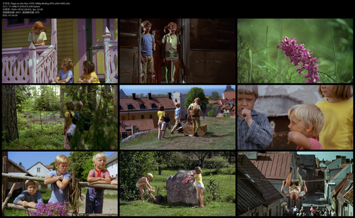 Pippi.on.the.Run.1970.1080p.BluRay.DTS.x264 HDS.mkv.png