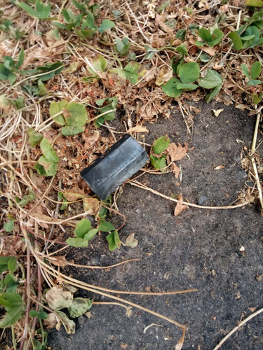 789ED915 0675 434A 94D4 931C9CF104E6.jpg