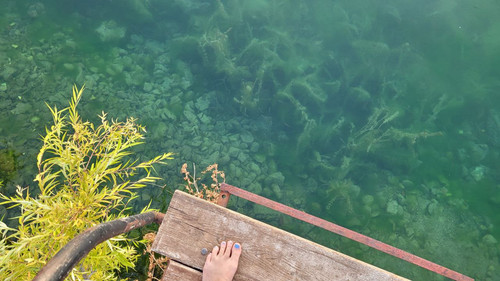 IMG 20220726 214216 276.jpg