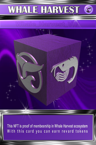 nftcardFront.png