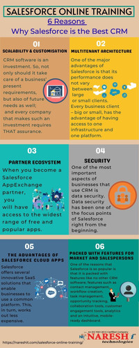 Salesforce Online Training Infographics.jpg