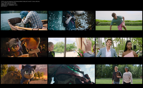 Sonic.the.Hedgehog.2.2022.BluRay.REMUX.1080p.AVC.TrueHD.7.1.Atmos HDS.mkv.png