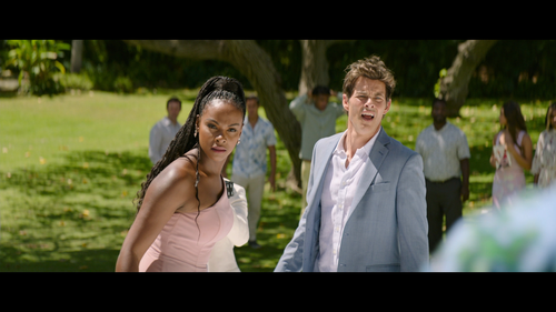 Sonic.the.Hedgehog.2.2022.BluRay.REMUX.1080p.AVC.TrueHD.7.1.Atmos HDS.mkv 20220730 234243.616.png