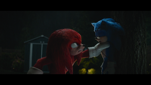 Sonic.the.Hedgehog.2.2022.BluRay.REMUX.1080p.AVC.TrueHD.7.1.Atmos HDS.mkv 20220730 234238.835.png
