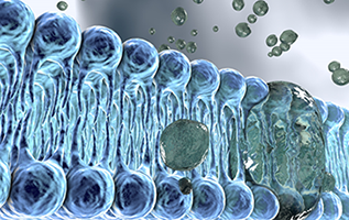 Tert-butyl 2-methyl-2-[5-methyl-6-(1,3-oxazol-2-yl)-2,4-dioxo-1H-thieno[2,3-d]pyrimidin-3-yl]propano.png
