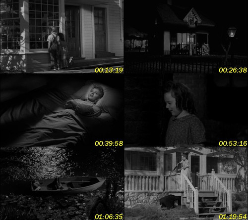 La noche del cazador