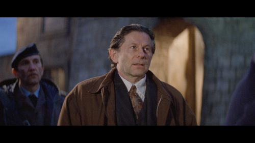 A.Pure.Formality.1994.BluRay.REMUX.1080p.AVC.DTS HD.MA2.0 HDS.mkv 20220802 222624.918.png