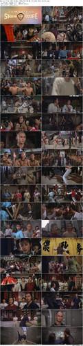 Martial.Club.1981.BluRay.1080p.DTS HD.MA.1.0.x265.10bit BeiTai preview.jpg