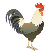 images removebg preview.png