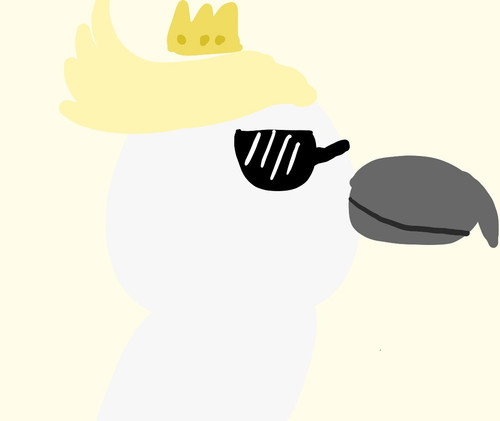 96AA2D90 DA6B 464B 8715 05BDBA32E96B.jpg