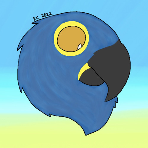 3176466C B398 486C A50A 1FFA0F9F3CC2.jpg