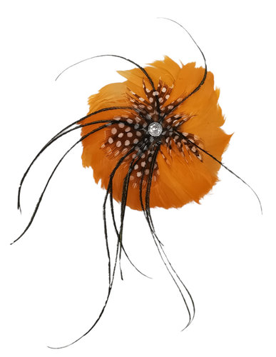 PhotoRoom 20220722 095003 2.png