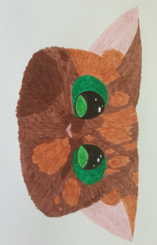 IMG 20220727 134400.jpg