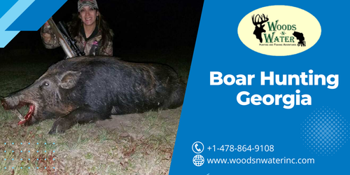Boar Hunting Georgia.png