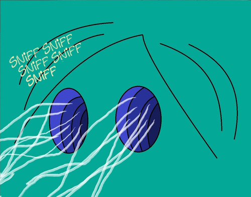 Maya the bee and anna the flying mite 9 (giantess vore, bee girl vore).jpg