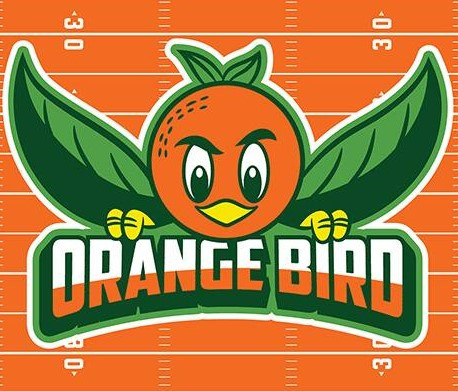 2019 BLOG SuperBowl OB Field WLLPPR 768x1024.jpg