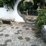 IMG 0507