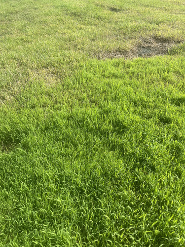 26459962 DF9E 404C B44A 76F46577C7D7