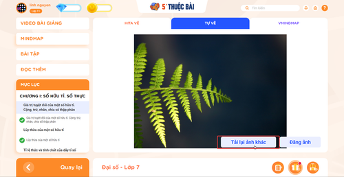 5PhutThuocBai v2 mURfSNqoxm.png