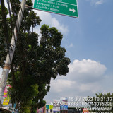 TimePhoto 20220715 103117