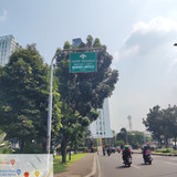TimePhoto 20220630 132515