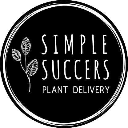 Succulents Online Sydney.png