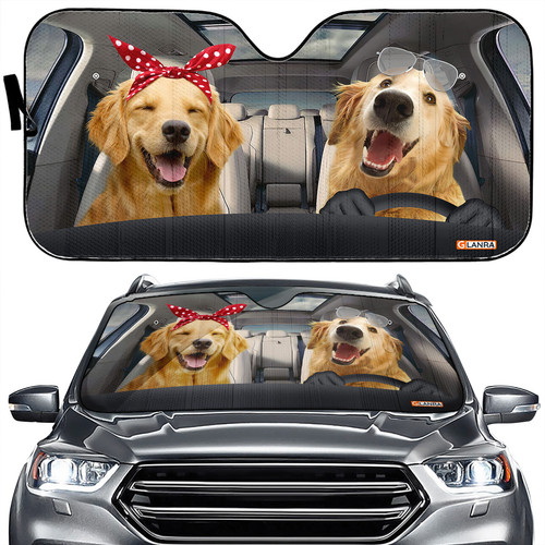 MAIN PHT072205J01 Golden Retriver.jpg