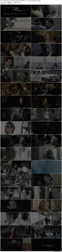 Heat.1995.UHD.BluRay.2160p.2Audio.DTS HD.MA5.1.x265.10bit.HDR BeiTai preview.jpg