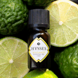 Cutie Clay Aroma Diffuser Hysses.gif