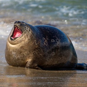 4Oi8JCT3 400x400.jpg