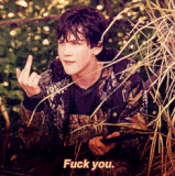 fuck you logan logan lerman Favim.com 368557.gif