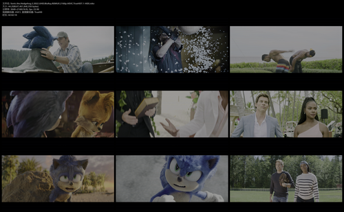 Sonic.the.Hedgehog.2.2022.UHD.BluRay.REMUX.2160p.HEVC.TrueHD7.1 HDS.mkv.png