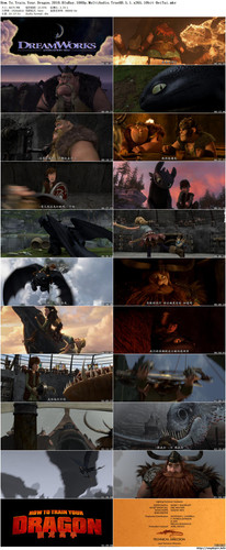 How.To.Train.Your.Dragon.1.jpg