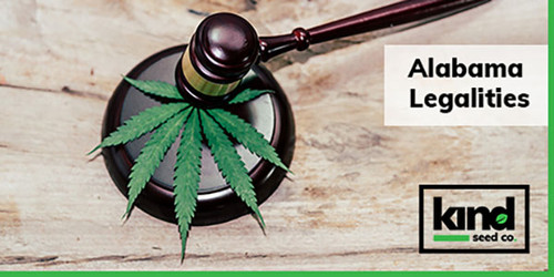 Cannabis Seeds Alabama.jpg