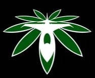 marijuana air force design 260nw 1134919562.jpg