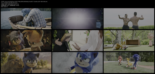 Sonic.the.Hedgehog.2.2022.2160p.HDR.UHD.BluRay.TrueHD.7.1.2Audio.x265 10bit HDS.mkv.png