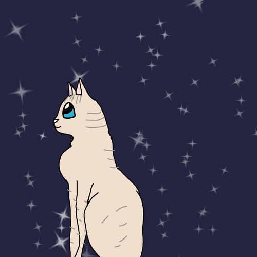 Untitled25 20220805182227