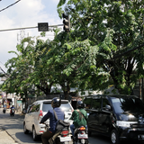 APILL Sp 3 Kompas 1