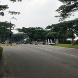 APILL Sp 4 Sinarmas World Academy