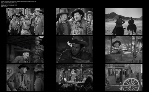 Winchester.73.1950.BluRay.REMUX.1080p.AVC.DTS HD.MA2.0 HDS.mkv.png
