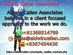 aldwin equity capital markets.jpg