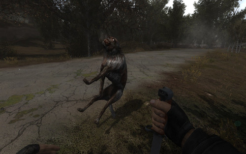 ss Артём 06 15 19 10 48 51 (l05 bar)