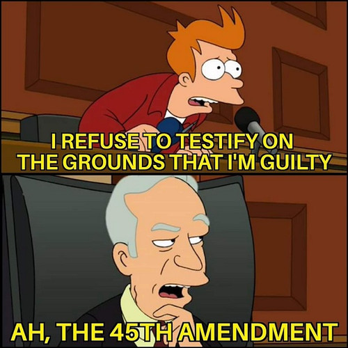 45th amend.jpg
