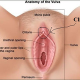 clit