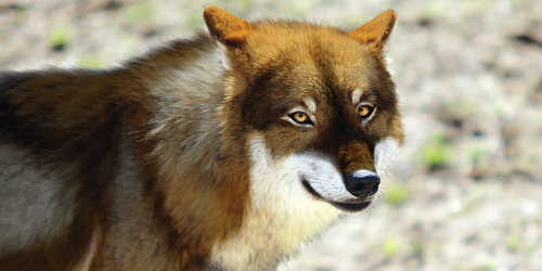 image 2022 08 12 095258172.png