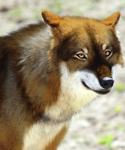 image 2022 08 12 095526845.png