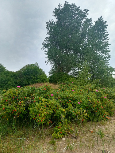 2022 08 06 10 55 04 cycling.jpg