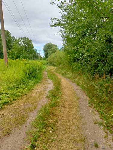 2022 08 07 08 16 56 cycling.jpg